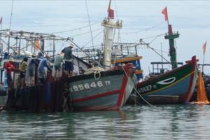 Quản lý, bảo vệ nguồn lợi thủy sản bị khai thác bất hợp pháp