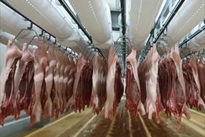 Chiến sự Nga-Ukraine ảnh hưởng lớn đến thương mại thịt toàn cầu