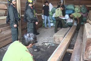 Vụ phá rừng quy mô lớn ở Phú Yên: Bắt thêm 2 chủ xưởng gỗ