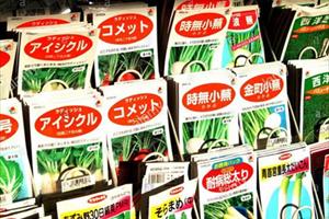 Nhật Bản cấm mang hạt giống, cây giống ra nước ngoài