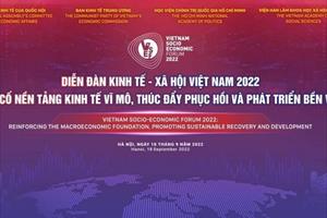 Góc nhìn của địa phương về Diễn đàn Kinh tế - Xã hội Việt Nam 2022