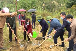 Tuyên Quang: Nhiều địa phương phát động Tết trồng cây