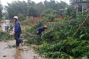 Bão vào Phú Yên gây mưa lớn, cây gãy đổ