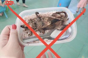Thực hư câu chuyện học sinh phải ăn thịt chuột tại một huyện miền núi Quảng Nam