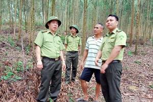 Kiểm lâm Nghệ An: Làm tốt công tác quản lý, bảo vệ và phát triển rừng