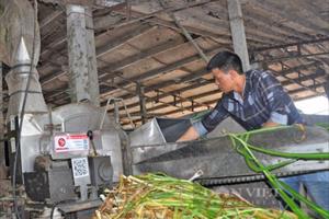 Để nông nghiệp Việt Nam phát triển xanh, bền vững, an toàn và có trách nhiệm