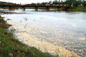 Cá, vịt chết trên sông Hầm Giang do doanh nghiệp xả thải gây ô nhiễm nguồn nước