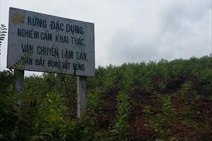 Bắc Giang có 73 xã trọng điểm nguy cơ cháy rừng cao