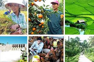 Tự hào Nông dân Việt Nam 2021 và bức tranh chuyển đổi số trong nông nghiệp