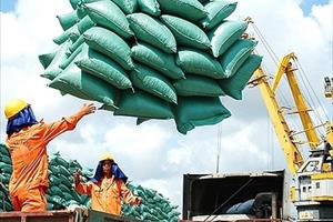 Thị trường gạo Việt sôi động và chinh phục thế giới bằng chất lượng   