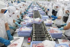 Trung Quốc siết chặt NK hàng thủy sản đông lạnh, DN Việt cần sẵn sàng chủ động 
