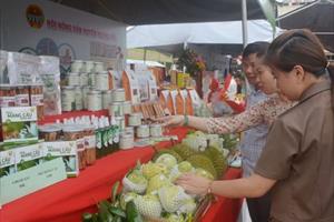 Khai mạc Tuần lễ tiêu thụ nông sản tiêu biểu tỉnh Đắk Lắk 