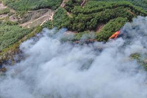 Đã dập tắt được cháy rừng tại thị xã Hương Thủy