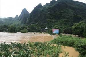 Mưa lớn, nhiều nơi ở Lạng Sơn, Bắc Giang, Quảng Ninh chìm trong biển nước