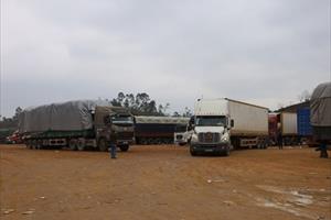 Hàng nghìn xe nông sản tại cửa khẩu Tân Thanh quay đầu chờ 