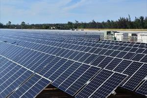 Nghệ An chấp thuận chủ trương đầu tư 2 dự án điện mặt trời quy mô 7.800 tỷ đồng
