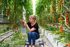 Chính sách mới giúp nông nghiệp EU “xanh” hơn