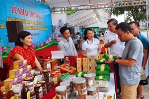 Khai mạc Hội chợ xúc tiến thương mại khu vực kinh tế tập thể Bắc Trung Bộ tại Hà Tĩnh
