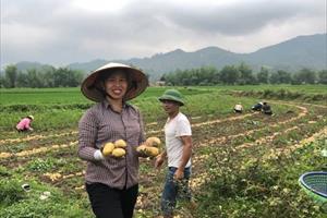 Lào Cai đột phá về nông nghiệp, nông dân, nông thôn từ Nghị quyết số 26-NQ/TW