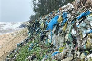 Sẽ xử lý dứt điểm bãi thu gom, chôn lấp rác nằm cạnh bờ biển