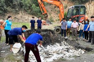 Thanh Hóa: 30 tấn cá chết bất thường tại thị xã Nghi Sơn