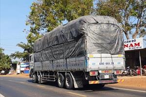 Đắk Nông: Xe có dấu hiệu quá khổ, quá tải tung hoành trên đường Hồ Chí Minh