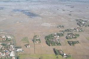 Phú Yên: Hàng nghìn héc ta lúa vừa gieo sạ bị ngập úng