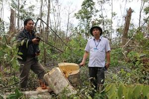 Đắk Nông sẽ thu hồi các dự án buông lỏng quản lý để mất rừng 