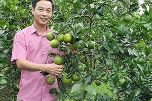 Bắc Giang và những giải pháp tiếp sức HTX và doanh nghiệp nâng cao giá trị nông sản