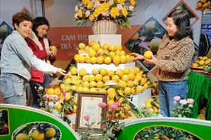 Hà Tĩnh: Khai mạc Lễ hội Cam và các sản phẩm nông nghiệp