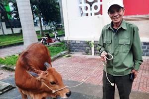 Agribank Chi nhánh Hà Tĩnh II trao tặng 35 con bò giống cho người dân vùng lũ 