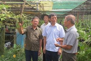 Lãnh đạo Hội Làm vườn Việt Nam thăm một số mô hình VAC tiêu biểu tại Hải Phòng