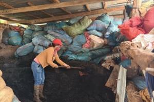 Giá phân bón tăng cao, nông dân Gia Lai tự ủ phân hữu cơ