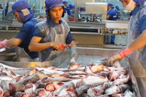 Xuất khẩu hải sản của Việt Nam tăng 26% trong tháng 5