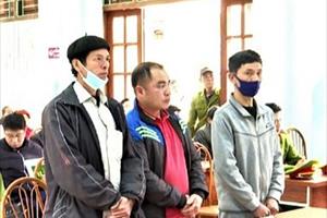 Hà Giang: Tuyên phạt 3 đối tượng lĩnh án tù trong vụ khai thác rừng trái phép