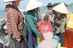 Tin Ngư nghiệp: Trúng luồng cá, ngư dân Lộc Hà thu “tiền tươi” tại bến