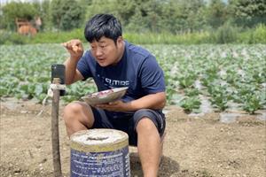 Nông dân Trung Quốc livestream kiếm triệu USD