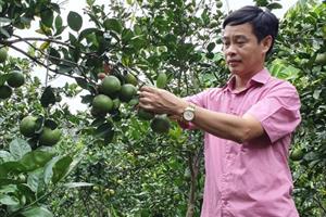 Xây dựng và phát triển nông sản hàng hóa ở Bắc Giang: Đổi mới phương thức sản xuất, gia tăng giá trị