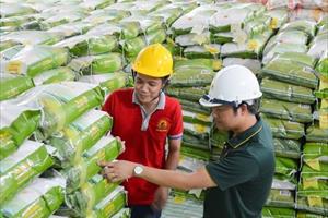Lộc Trời xuất khẩu gạo với thương hiệu 
