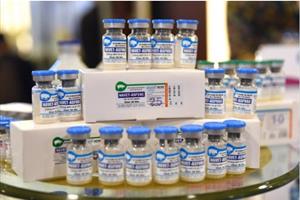 Việt Nam công bố sản xuất thành công vaccine dịch tả lợn châu Phi