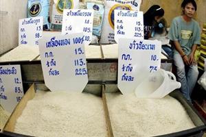Giá gạo tại các vựa lúa châu Á chạm mức thấp của nhiều năm