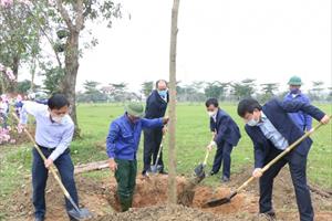 Các địa phương, đơn vị ở Hà Tĩnh phát động trồng cây đầu năm