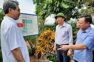 Lan tỏa mô hình vườn mẫu ở Hà Tĩnh