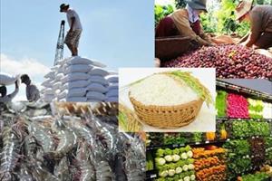 Bộ trưởng Lê Minh Hoan đưa ra 3 giải pháp tiêu thụ nông sản