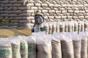 Xuất khẩu gạo 4 tháng: Giá trị tăng dù lượng giảm