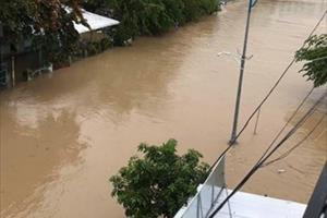 Phú Yên: Thiệt hại sau bão số 12 và lũ lụt gần 455 tỷ đồng