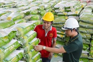 “Cơm ViệtNam Rice” của Tập đoàn Lộc Trời xuất khẩu sang châu Âu