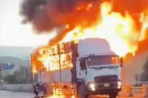 Phú Yên: Xe tải chở hàng bốc cháy dữ dội gần trạm thu phí