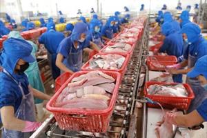 Doanh nghiệp thủy sản Việt Nam đón sóng tăng trưởng lớn