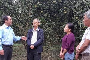 Hội Làm vườn Việt Nam 35 năm đồng hành cùng nông dân